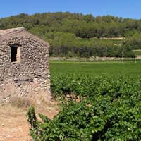 Provence Cotes De Provence Food Wine