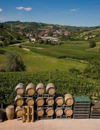 Italy Wine Food Piedmonet The Tre