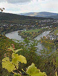 Mosel-saar-ruwer Mosel Wine Germany