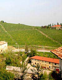 Piedmont Barolo Barbaresco Moscato