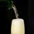 What Is Special About Champagne